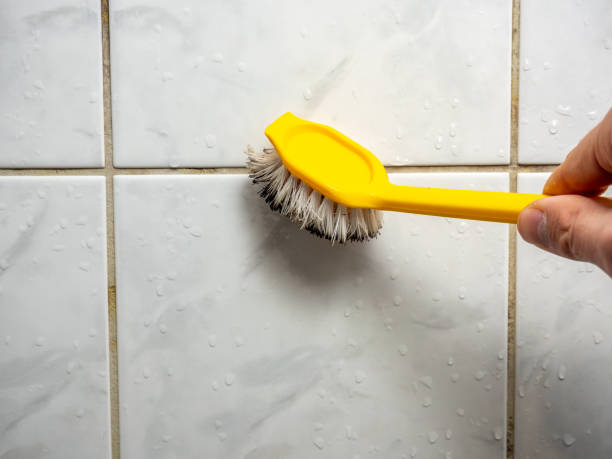 Best Mold Testing  in Sleepy Hollow, IL