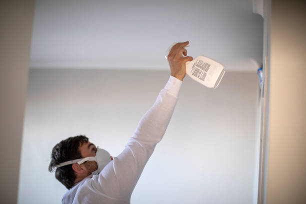 Best Affordable Mold Removal  in Sleepy Hollow, IL