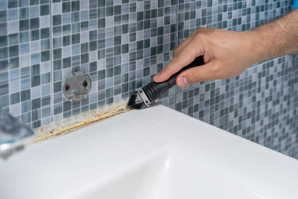 Best Professional Mold Removal  in Sleepy Hollow, IL